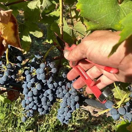 Domaine De La Source Bas דירה *