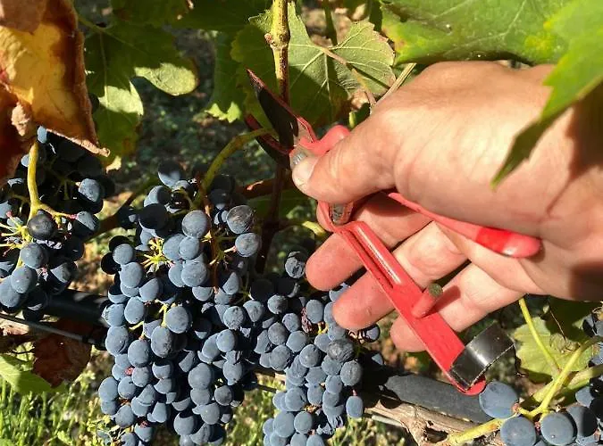 Domaine De La Source Bas Daire *